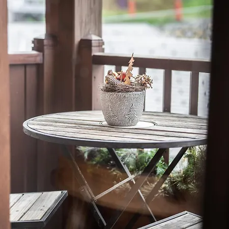 Duplex Renove Au Centre Avec Parking Et Wifi - Fr-1-755-26 La Plagne