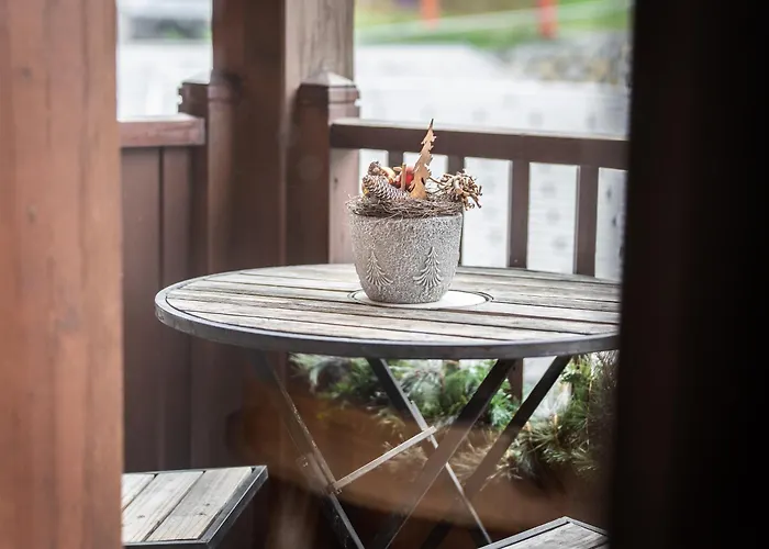 Duplex Renove Au Centre Avec Parking Et Wifi - Fr-1-755-26 La Plagne